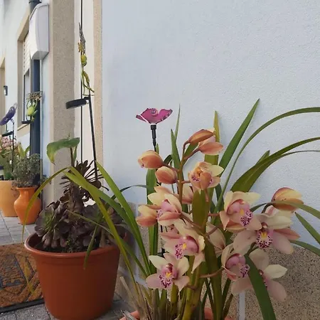 Alto Da Lapa House W Parking By Lovelystay ヴィラ ポルト